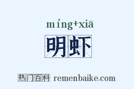 明虾是什么意思的图片